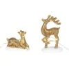 Department 56 Lit Deer Yard Decor