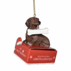 Dachshund With Bone Ornament