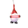 Personalized Gnome Ornament (Letters A-I) - Christopher