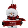 Cozy Snowman Ornament - Special Sister