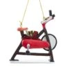 Kurt Adler Exercise Bicycle Ornament
