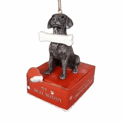 German Shorthaired Pointer With Bone Ornament