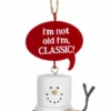Toasted S'mores Aging Pun Ornament - I'm Classic