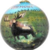 Hand Painted Glass Globe Ornament - A Vermont Moose